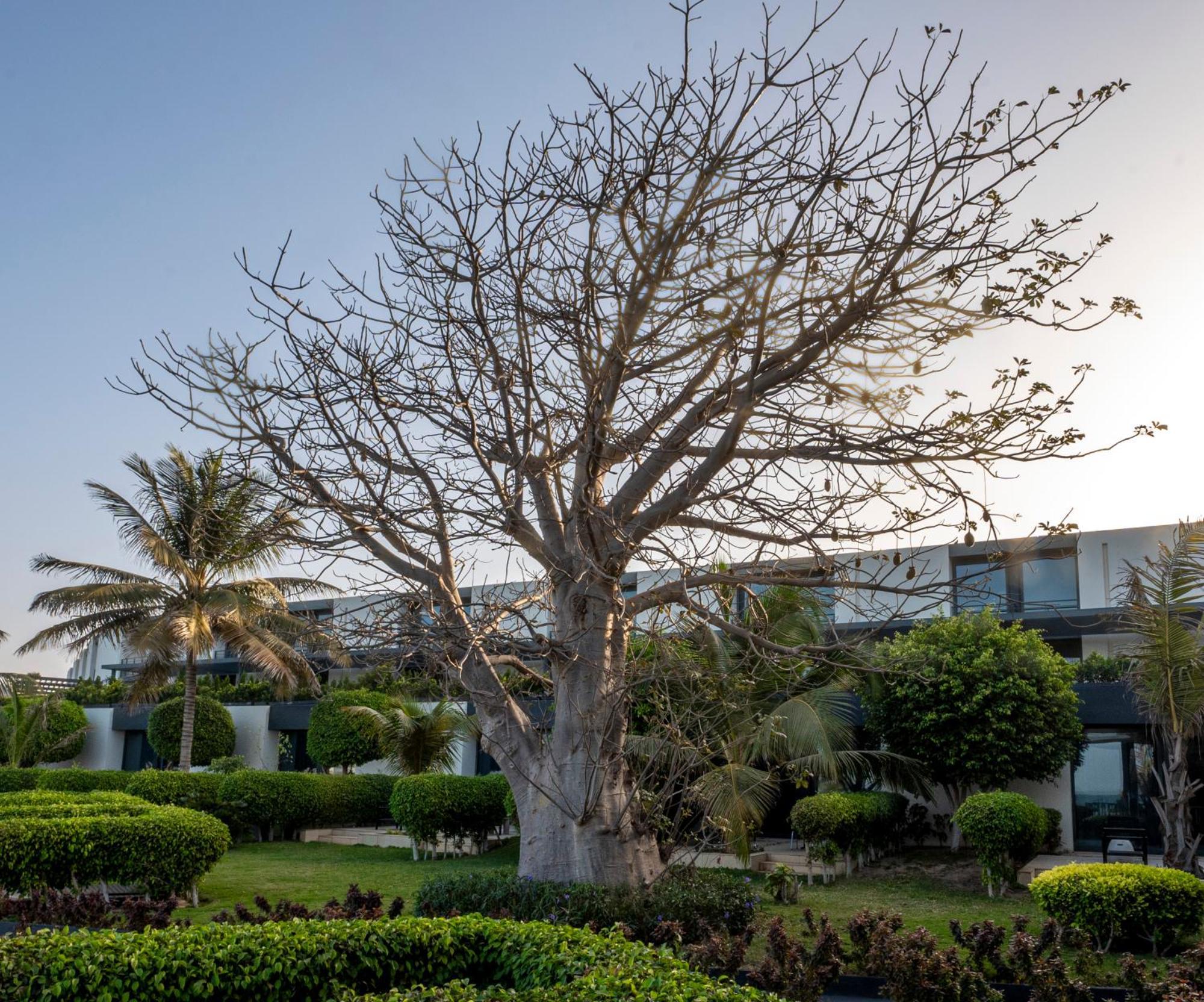 Noom Sea Plaza, A Member Of Radisson Individuals Dakar